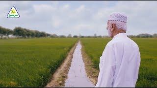 Sarsabz Fertilizer - Wheat Testimonial, Haji Abdul Majeed Nizamani