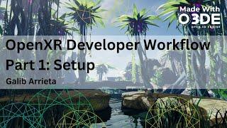 OpenXR Developer Workflow: Part 1 - Setup