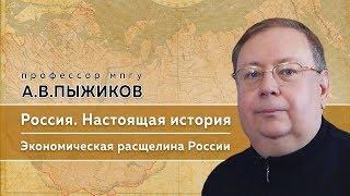 Памяти профессора МПГУ А.В.Пыжикова. "Настоящая история России. Экономическая расщелина России"