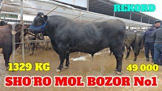 SHO‘RO MOL BOZOR 1329 KG BUQA 2024 YIL REKORD YANGILANDI TAROZIGA 49.000 SO‘M BARAKA