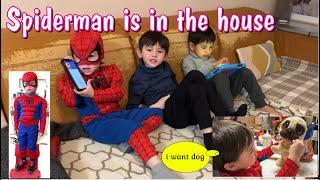 Spiderman is in the house + weekend ganap namin| Pinay belgian life