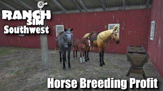 "Horse Breeding Profit" - Ranch Simulator - Southwest - Episode 21