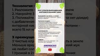 ЛУЧШИЙ способ для выращивания КАРТОФЕЛЯ! #сад #картофель #огород