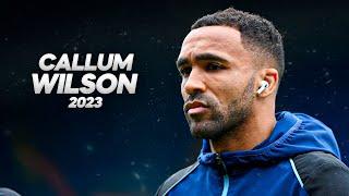 Callum Wilson - Full Season Show - 2023ᴴᴰ