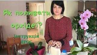 Як поливати орхідеї - інструкція ЯРОС