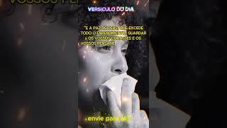 E a paz de Deus, que excede todo o entendimento #versiculodiario#versiculodehoje#palavradehoje#fé