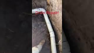 Blocked Drain Repairs By Rhyse at Plumbdog Plumbing