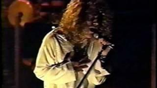 Jimmy Page and Robert Plant - In The Evening (live in Detroit 1995)