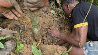 First time experiencing yam bush with friends it was a good day