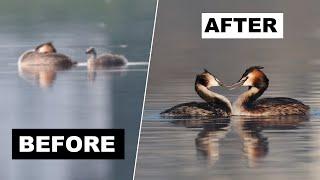Why Your Photos Aren't Sharp (and How to Fix It)