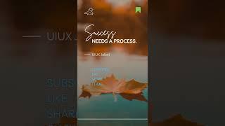 Success needs process UIUX