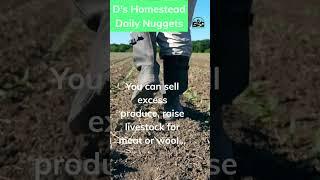 D’s Homestead Daily Nugget of information. #dshomestead #homestead #homesteading #march31challenge