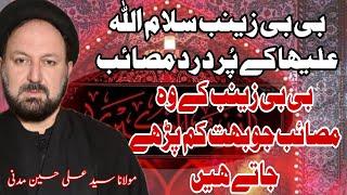 Masaib Syeda Zainab s.a | Maulana Syed Ali Hussain Madni