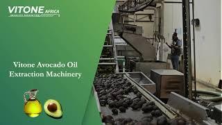 Avocado oil production| Vitone Africa