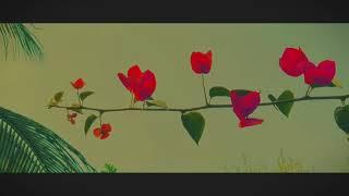 A Presentation of Peaceful Village House  Relaxing Video