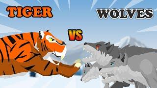 Tiger vs Wolf | Animal Tournament [S1] | Animal Animation