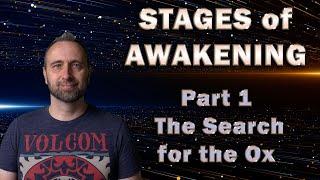 Stages of Awakening | Oxherding Pictures Part 1 (The Search for the Ox)