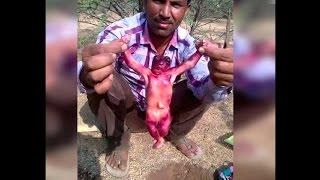 Alien found In Jodhpur, Rajasthan | वनइंडिया हिन्दी