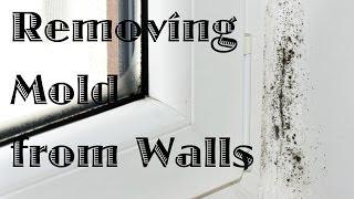 Removing Mold from Walls