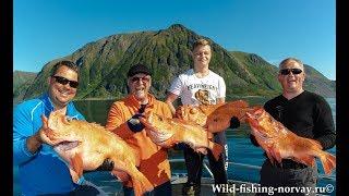 Морская рыбалка в Норвегии.Wild Fishing Norway