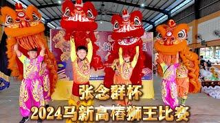 马新高樁狮王比赛 | 2024 张念群杯  | Acrobatic Lion Dance Competition | Malaysia Singapore Teams