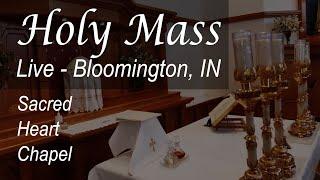 Live: 10:30 AM Mass - Jul 14