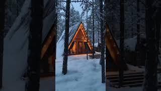 Барнхаус, Афрейм или модульный дом? #стройка #дача #юмор #топ #ремонт #глемпинг #строительство