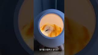 LED 고양이 무드등 | 터치 디밍 USB 조명 #무드등,#고양이조명