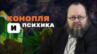 Как Конопля\Каннабис\Марихуана Влияет на Психику? | Александр Рощин