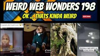 weird web wonders 198