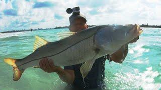 Snook Fishing Tips