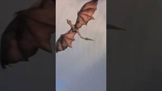 DisVlog #shorts - Love the fly-by dragon at the Universal Shop in MCO Terminal C!