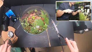 Terrarium Maintenance und Chatten mit GodOfSloths