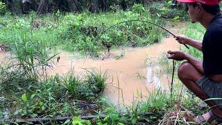 BAHAYA.!!! SANGKING ASIK NYA MANCING IKAN LELE LIAR SAMPAI NGGAK SADAR ADA ULAR PITON DI ATAS KEPALA