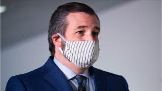 Ted Cruz Calls Texas Resolution Dubbing 'Chinese Virus' As Hate Speech 'Nuts'