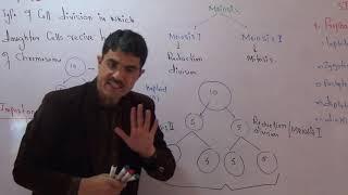 Meiosis in detail in Urdu Hindi by dr Hadi