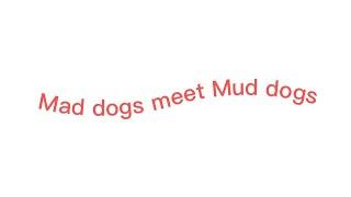 Mad dogs meet Mud dogs // Not Og. // ROTtmnt // ️NEW MAD DOGS DESIGNS️ // ️My designs️