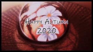 Happy Autumn 2020! (No copyright lo-fi stream free) chill relaxing with rain