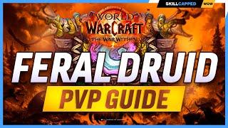 Feral Druid The War Within PvP Guide | Best Hero Talents, PvP Talents, Race, Gear & Macros