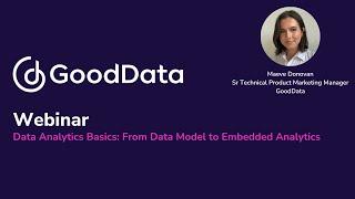 Data Analytics Basics: From Data Models to Embedded Analytics [Webinar]