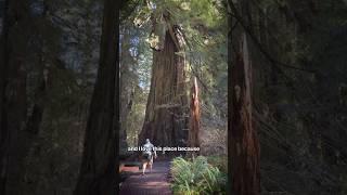 Nature doesn’t care about your size ￼