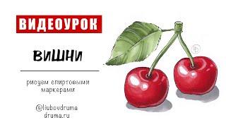 ВИШНЯ / рисуем спиртовыми маркерами