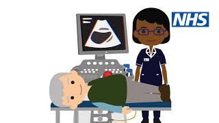 Primary Care Networks Animation