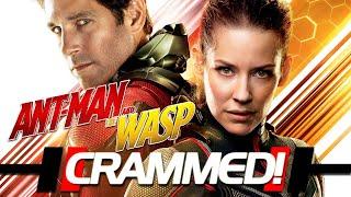 Ant-Man and the Wasp - ULTIMATE RECAP!