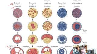 Cell-to-Cell Communication (Chapter 4)