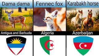 National Animals of different countries | flags animals