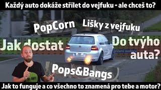 Jak dostat PopCorn / Pops&Bangs / lišky z vejfuku do tvýho auta? A chceš to vůbec?