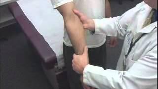 Medial and Lateral Collateral Ligament Stability