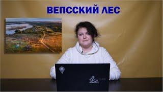 Вепсский лес