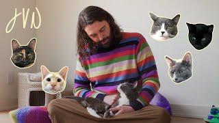 JVN At Home: Meet My Cats